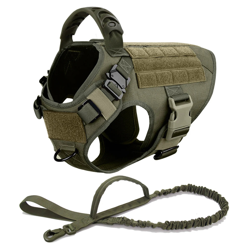 Petravel Large Dog Harness And Leash Set For Training