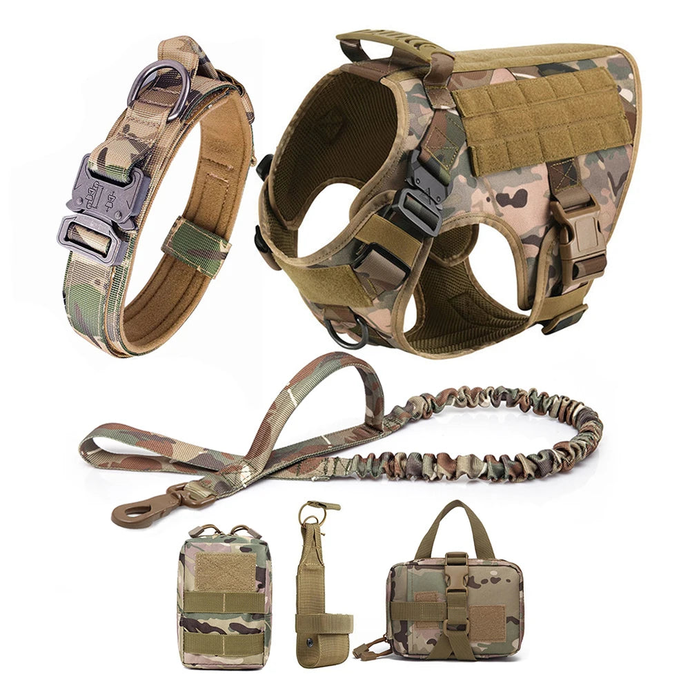 Petravel Large Dog Harness And Leash Set For Training