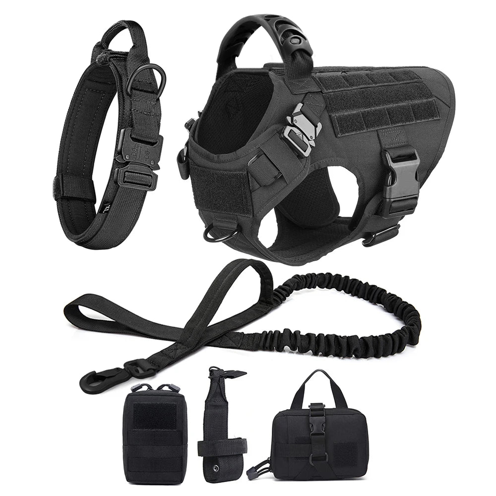 Petravel Large Dog Harness And Leash Set For Training