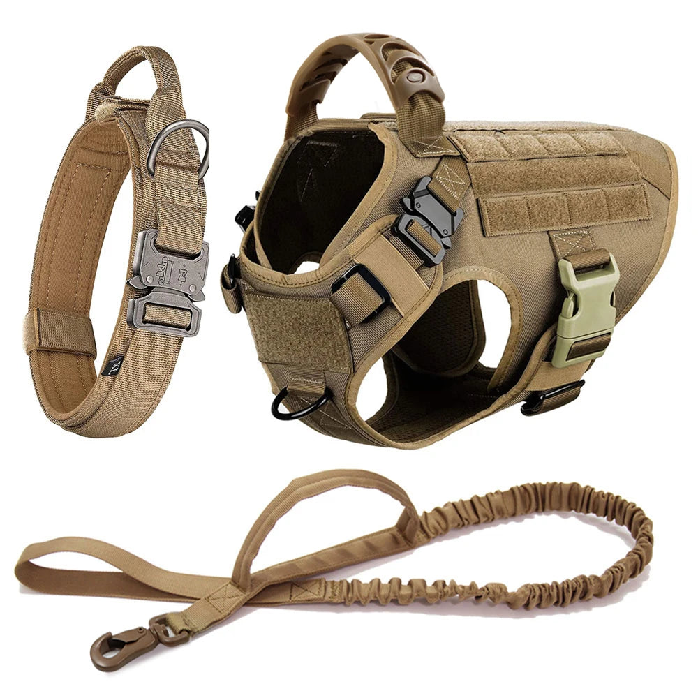 Petravel Large Dog Harness And Leash Set For Training