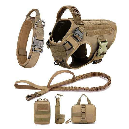 Petravel Large Dog Harness And Leash Set For Training