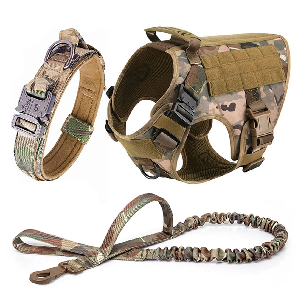 Petravel Large Dog Harness And Leash Set For Training