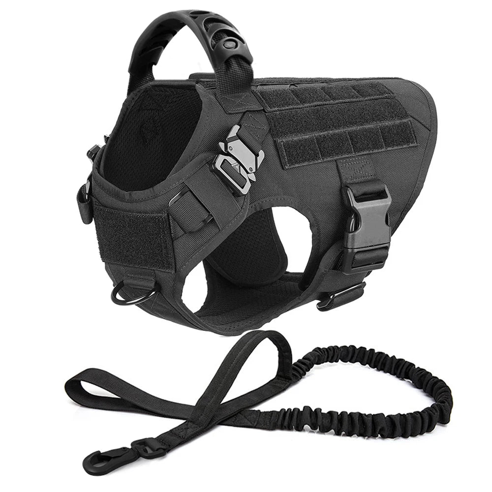 Petravel Large Dog Harness And Leash Set For Training