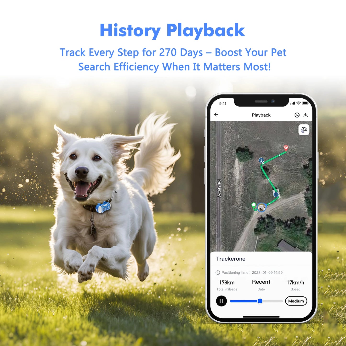 WANWAYTECH 4G GPS Tracker for Dogs and Cats