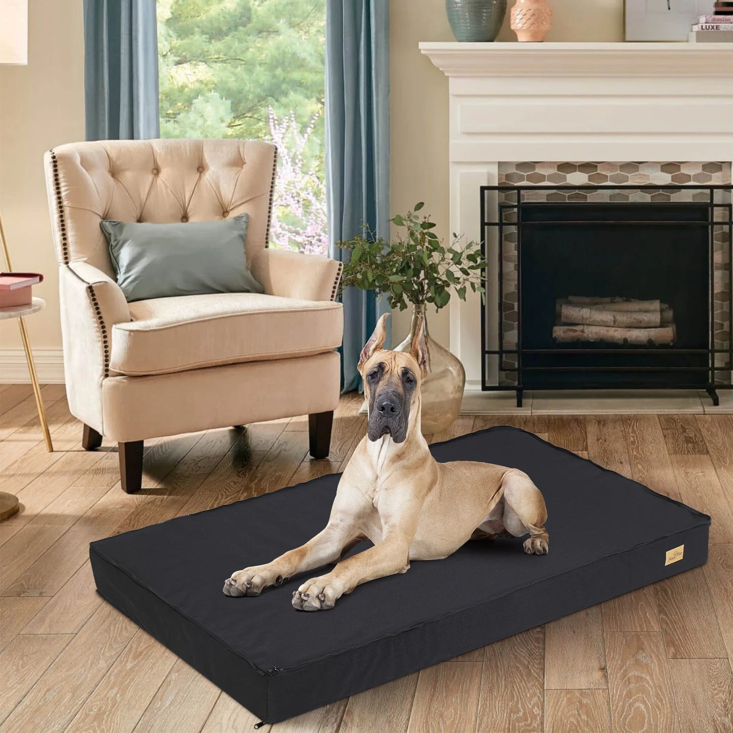 Orthopedic Memory Foam Dog Bed with Washable Cover