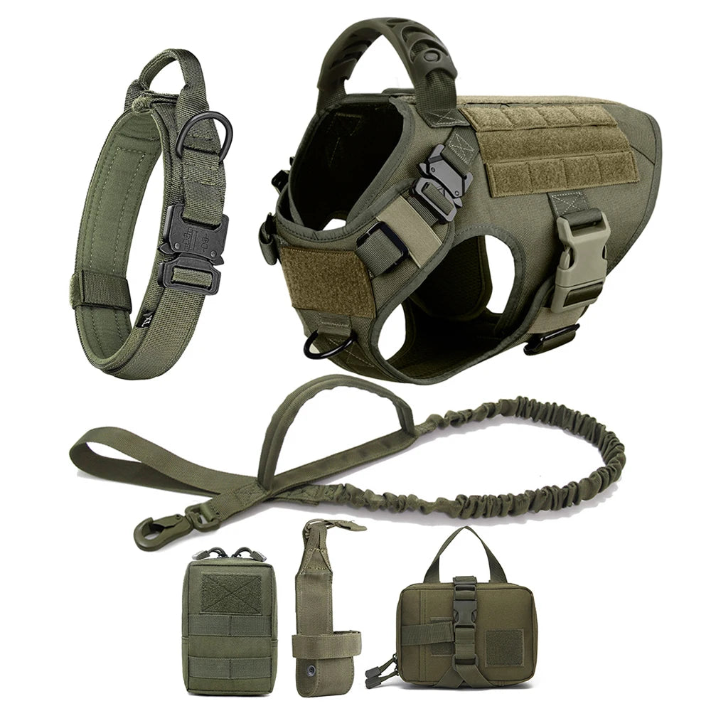 Petravel Large Dog Harness And Leash Set For Training