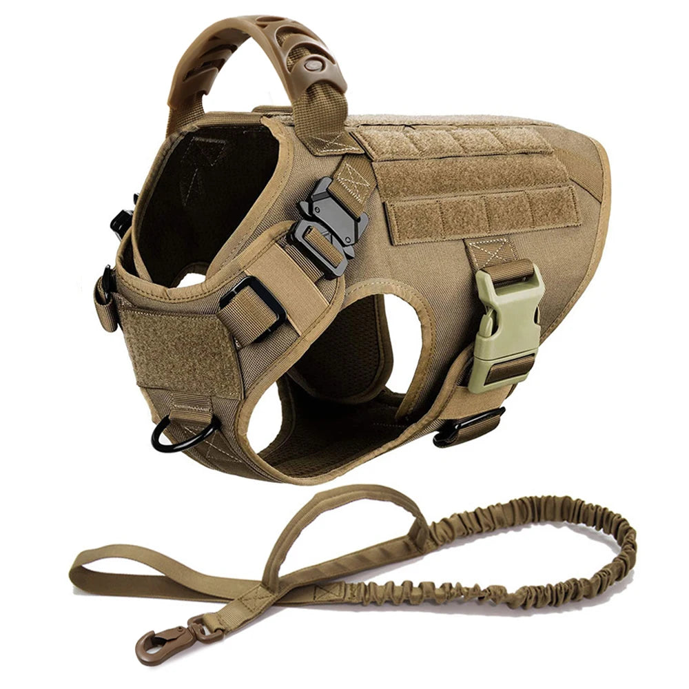Petravel Large Dog Harness And Leash Set For Training