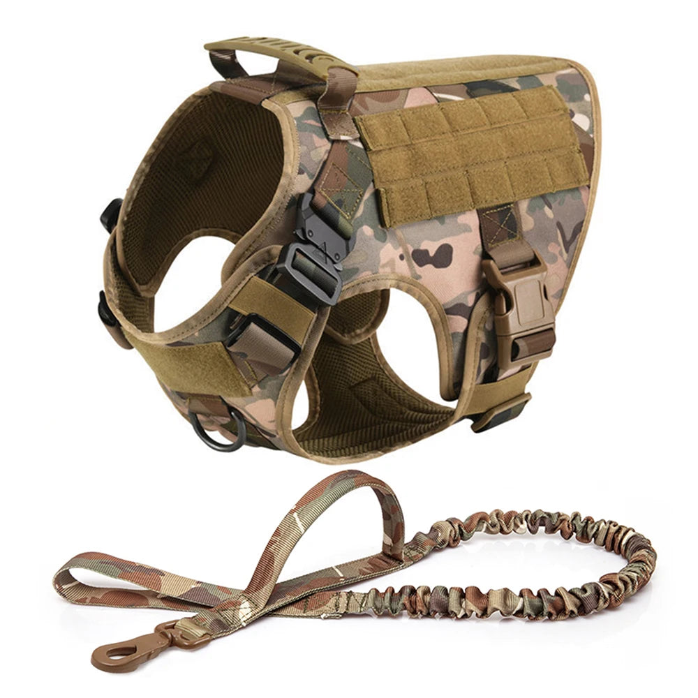 Petravel Large Dog Harness And Leash Set For Training