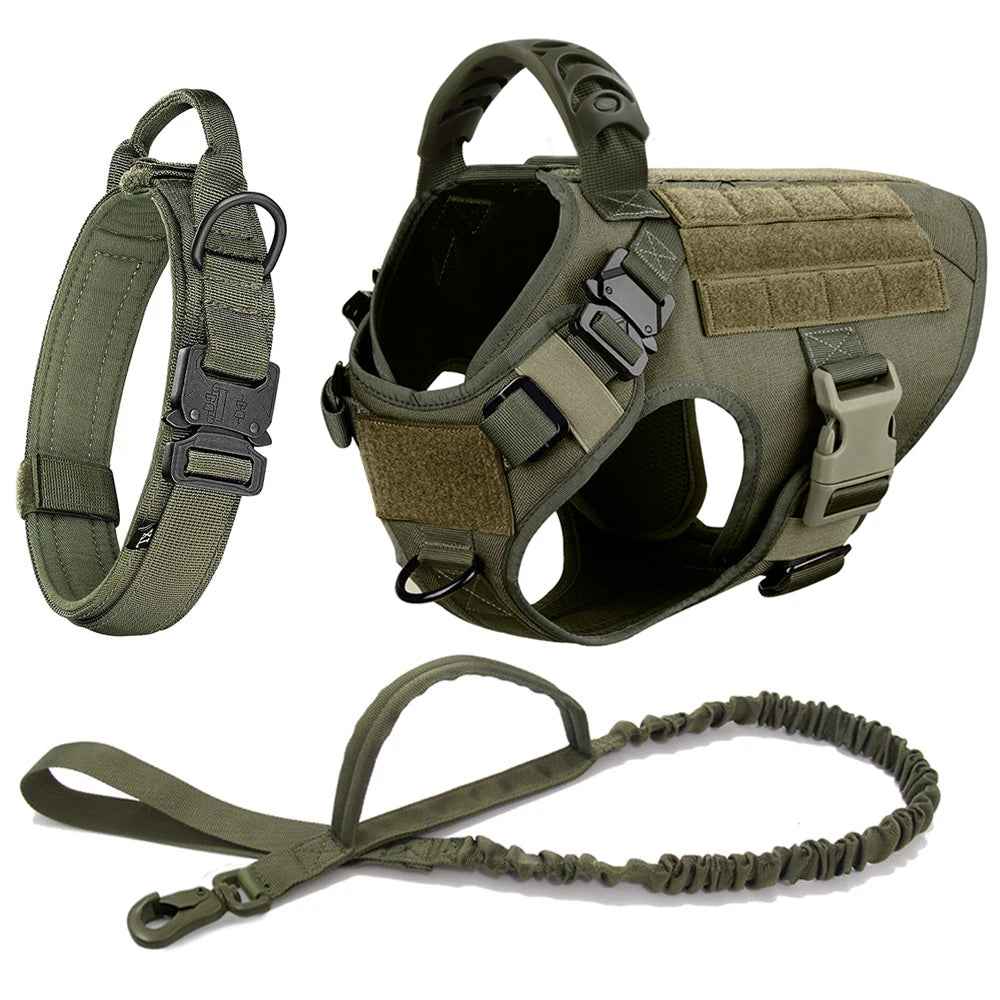 Petravel Large Dog Harness And Leash Set For Training